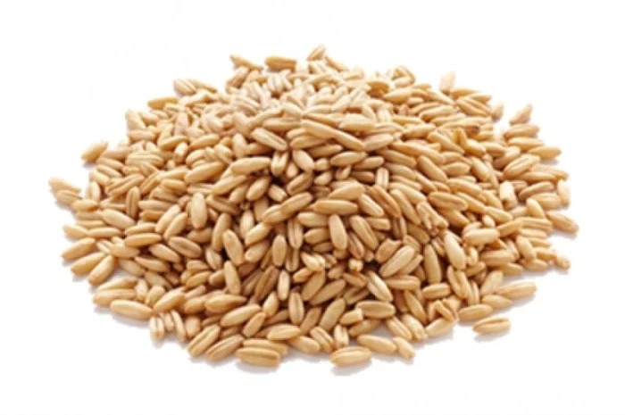 Фирма закупает зерновые- фото № 1