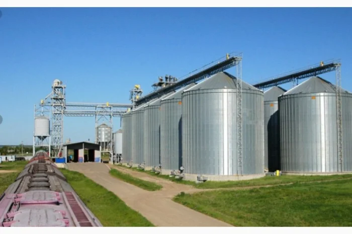 Принимаем Ячмень Пшеницу Нового урожая 2024- фото № 1