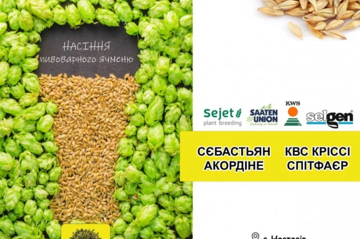 Продаж насіння ярого ячменю та пшениці, сої та гороху- фото № 1