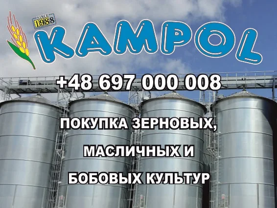 Куплю сорго белое, красное, просо- фото № 1