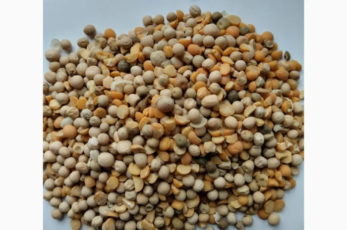 Висівки пшеничні, горохові; висівка і товч ячмінна, борошно горохове; січка кормова горох- фото № 2