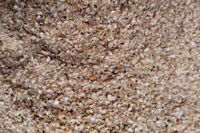 Висівки пшеничні, горохові; висівка і товч ячмінна, борошно горохове; січка кормова горох- фото № 3