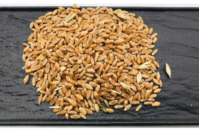 Купуємо зерновідходи, некондицію, самовивіз- фото № 1