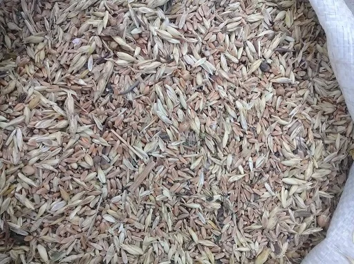 Куплю некондиційне зерно, зерновідходи- фото № 1