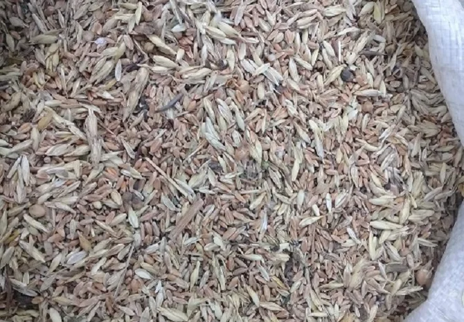 Постійно купуємо відходи с.г. культур- фото № 1