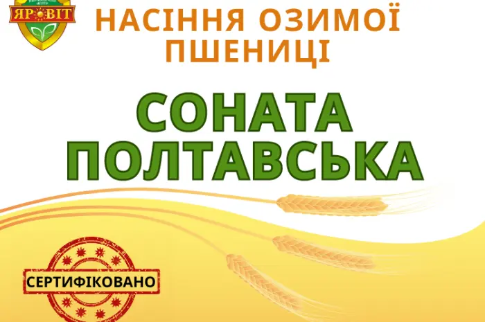 Насіння озимої пшениці "Соната полтавська"- фото № 1