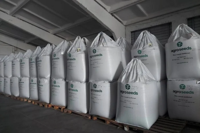 Елітне насіння озимої пшениці- фото № 3