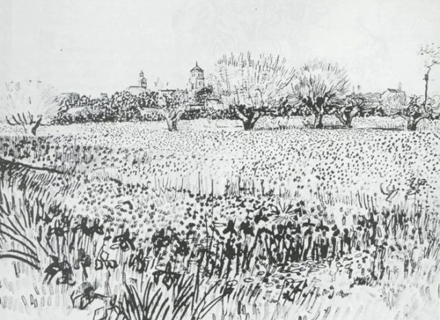 Покупка ПРОБЛЕМНОЇ ПШЕНИЦІ з самовивозом- фото № 1