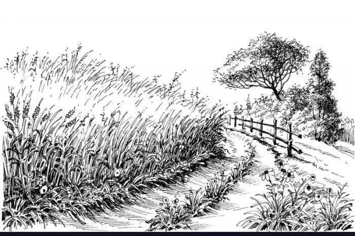 Закупка Ярой Твердой Пшеницы на переработку- фото № 1