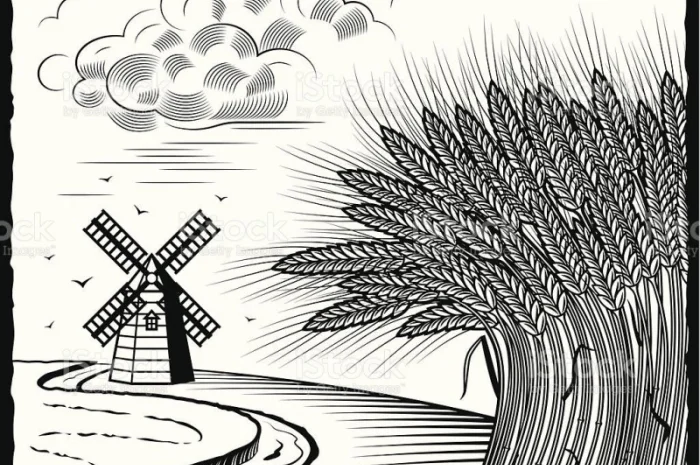 Закупка ЯРОВОЇ твердої ПШЕНИЦІ з будь-якою стекловидністю- фото № 1