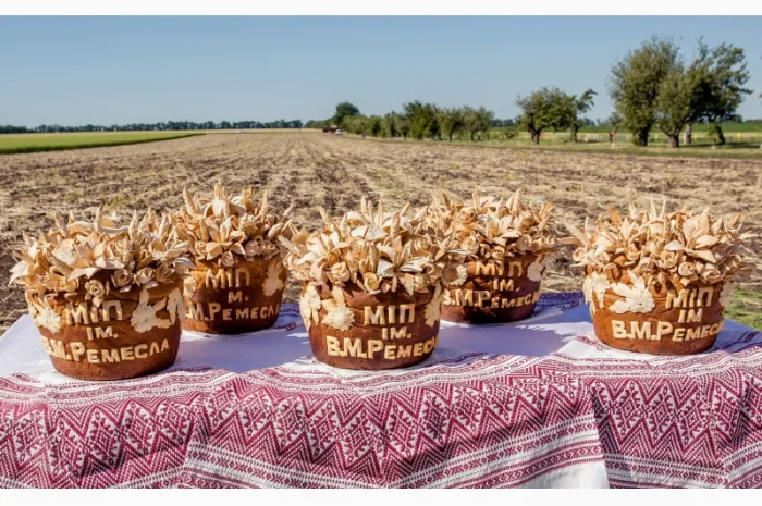 Реалізуємо пшеницю від виробника (третікале, ячмінь, яра пшениця)- фото № 12