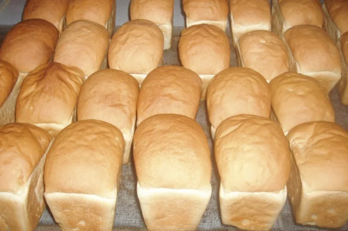 Реалізуємо пшеницю від виробника (третікале, ячмінь, яра пшениця)- фото № 11