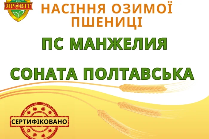 Продаж насіння озимої пшениці- фото № 1