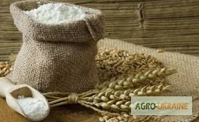 Пшеница канадская сорт Тесла - продажа оптом- фото № 1