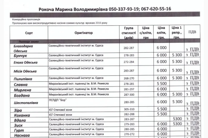 Семена озимої пшениці Славна (еліта) для продажу- фото № 3