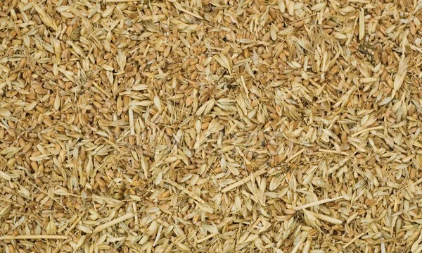 Закупаем отходы пшеницы по выгодным ценам- фото № 1