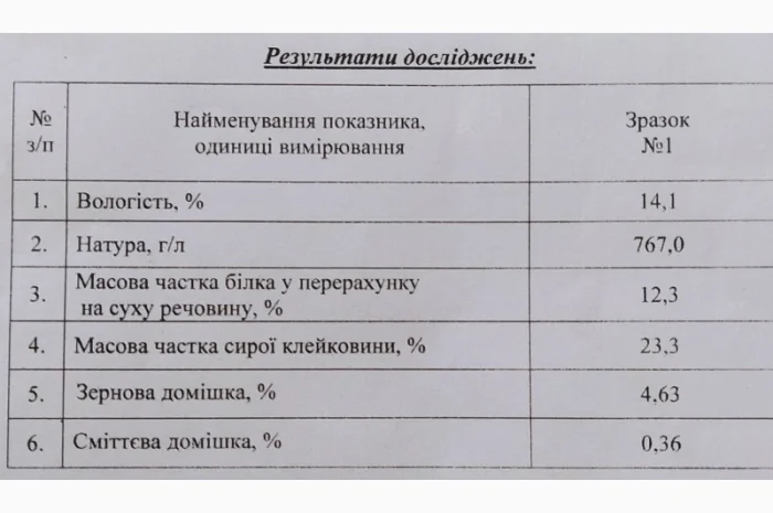 Пшеница 50 тонн на продажу- фото № 2