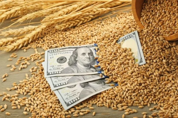 Покупаем пшеницу фураж- фото № 1