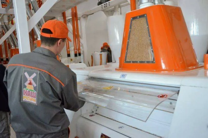 Купимо продовольче зерно пшениці 2 класу- фото № 2