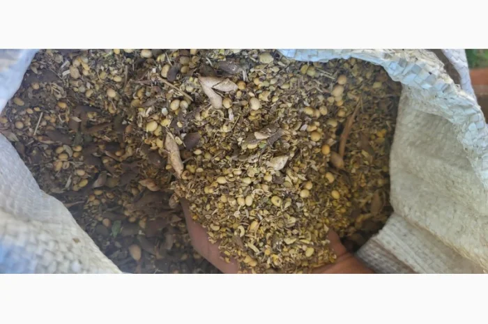 Куплю зерновідходи та некондицію кукурудзи- фото № 2