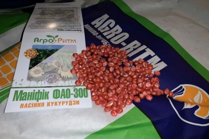 Насіння кукурудзи Маніфік ФАО 300- фото № 1