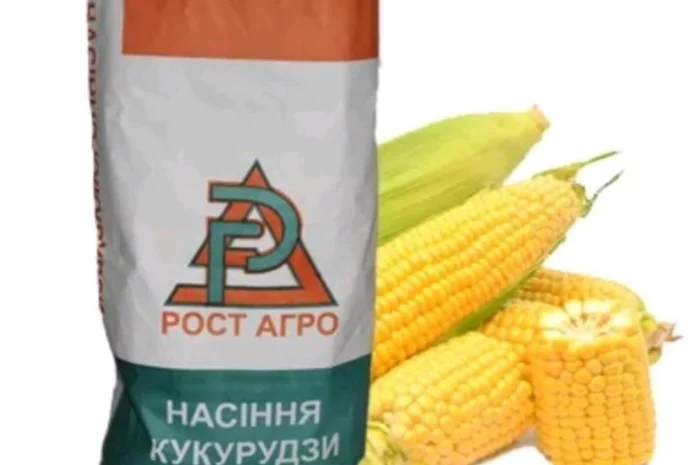 Продаж насіння кукурудзи ДН Рубін ФАО 290- фото № 2