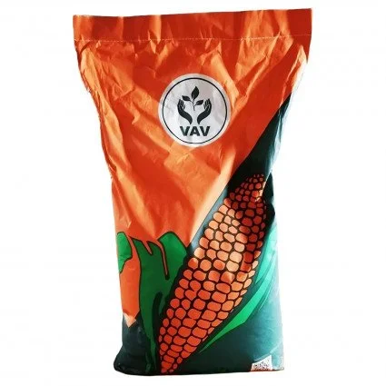 Кукурудза ДН Фієста на продаж- фото № 1