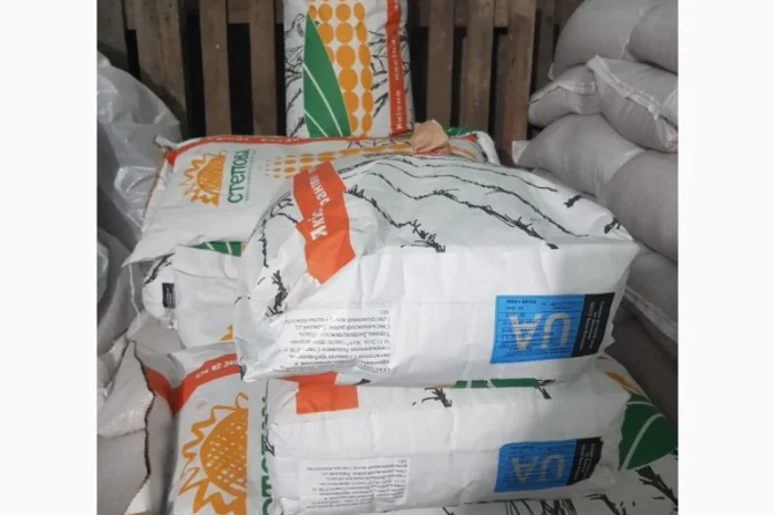 Кукуруза Дніпровський 181 СВ на продаж- фото № 2