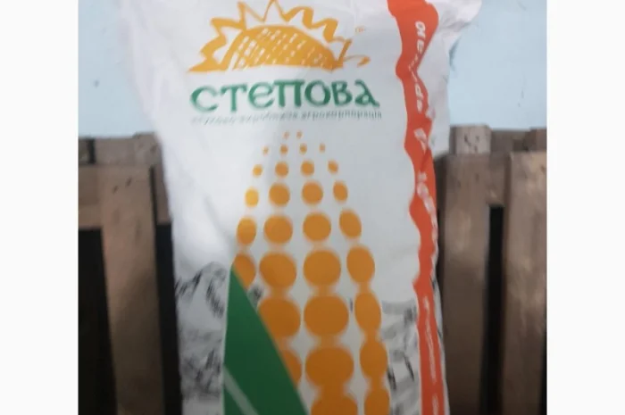 Кукуруза Дніпровський 181 СВ на продаж- фото № 3