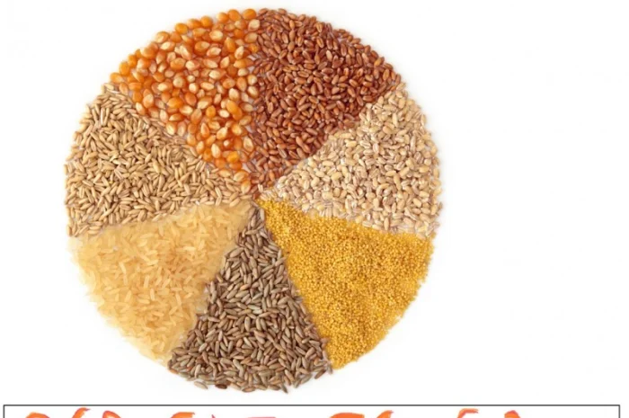 Закупка влажной и сухой кукурузы- фото № 1