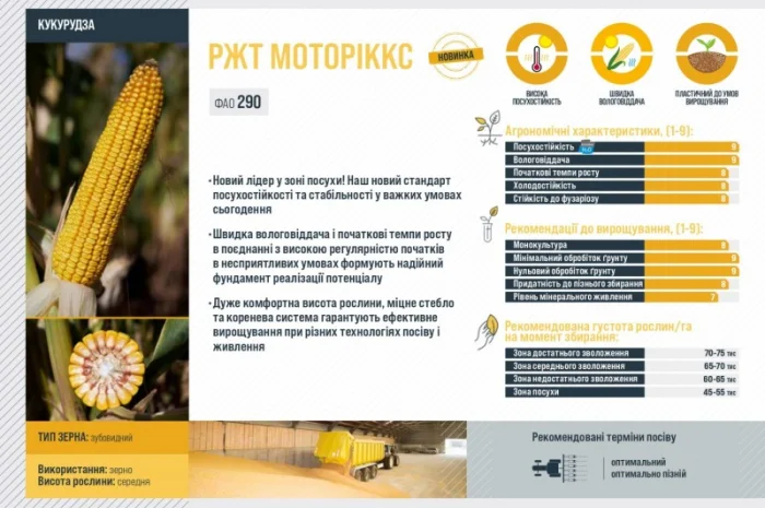 Насіння кукурудзи МОТОРІККС RAGT – продаж- фото № 2