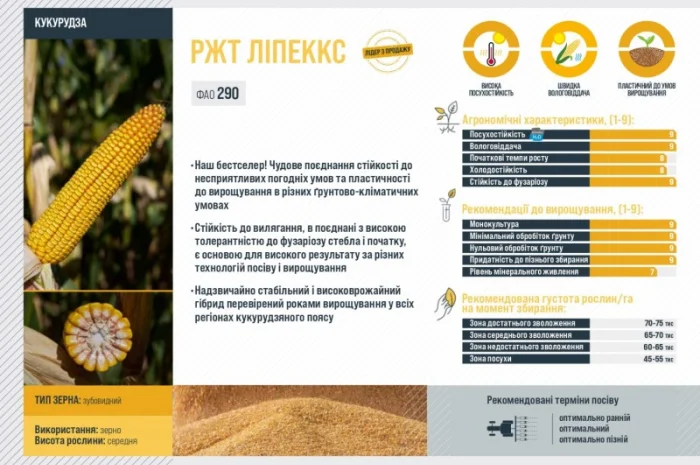 Насіння кукурудзи ЛІПЕККС RAGT у Харкові- фото № 3