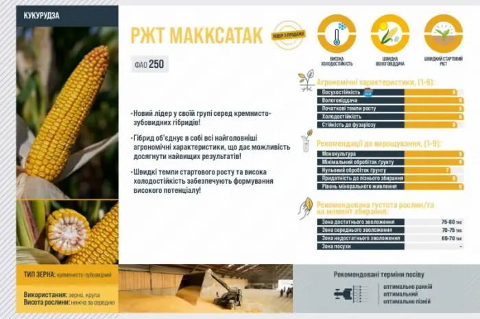 Насіння кукурудзи МАККСАТАК RAGT в продаже- фото № 3