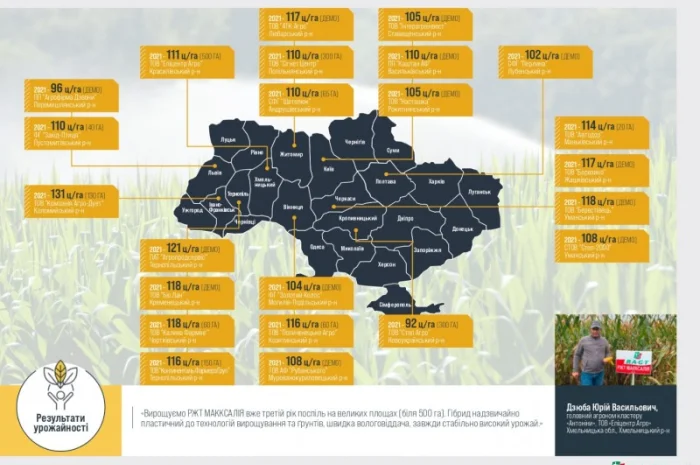 Насіння кукурудзи МАККСАЛІЯ RAGT – продаж- фото № 2