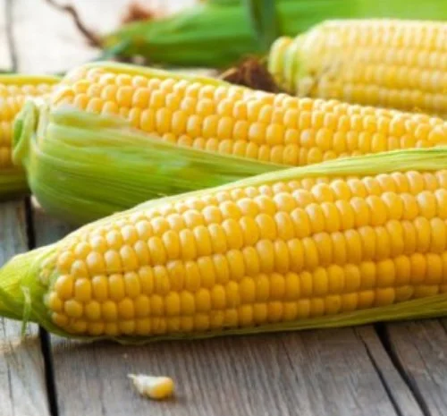 Покупка кукурудзи в Шибеному- фото № 1