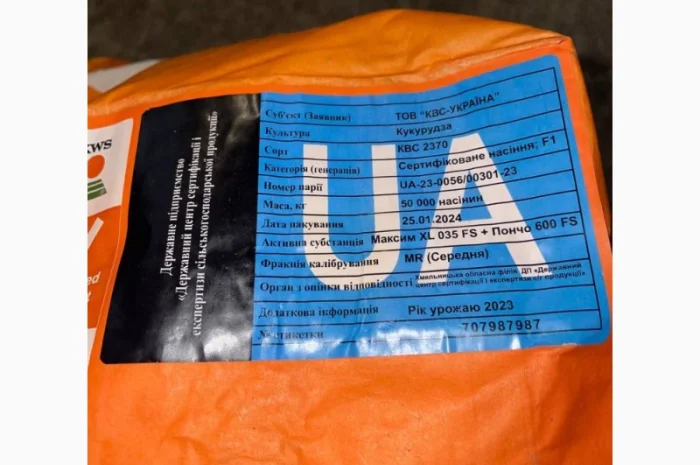 Насіння кукурудзи КВС 2370 - высокоурожайный гибрид- фото № 2