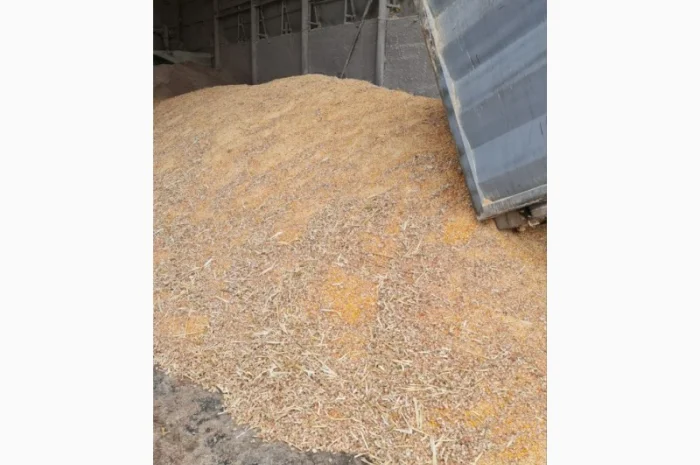 Куплю отходы кукурузы 1,2 категории- фото № 2