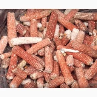 Куплю очищенный пустой качан кукурузы- фото № 1