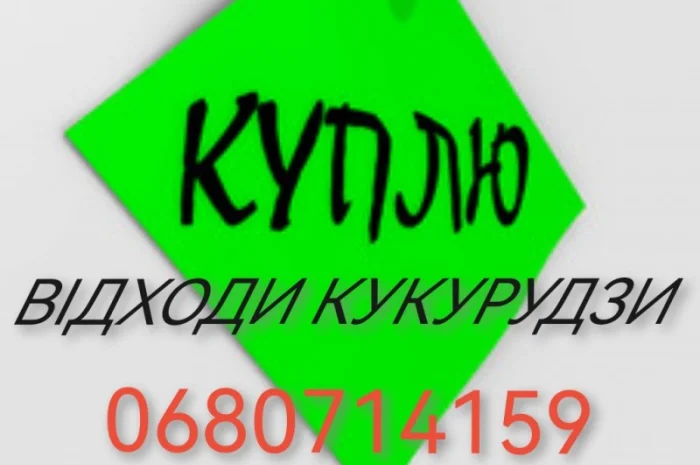 Покупка кукурузы и отходов кукурузы- фото № 1