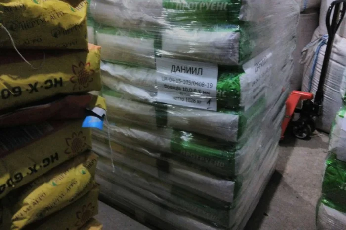 Семена кукурузи РАМ 8143 ФАО 260 з високою врожайністю- фото № 1