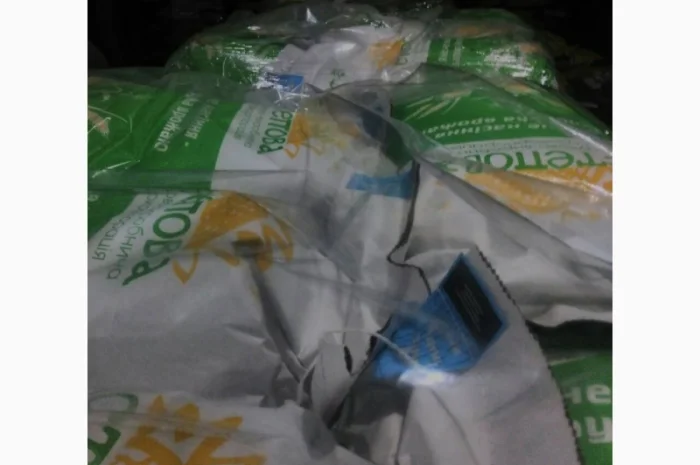 Семена кукурузы РАМ 8149 ФАО 280 для продажи- фото № 1