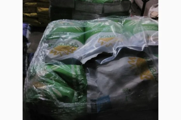 Семена кукурузи РАМ 6475 ФАО 300 для продажу- фото № 1