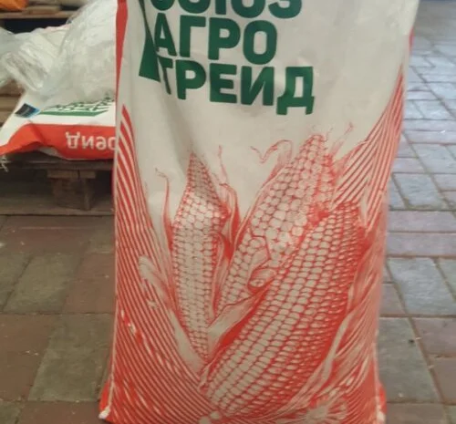 Продаж Насіння Кукурудзи ДБ Хотин ФАО-280- фото № 1