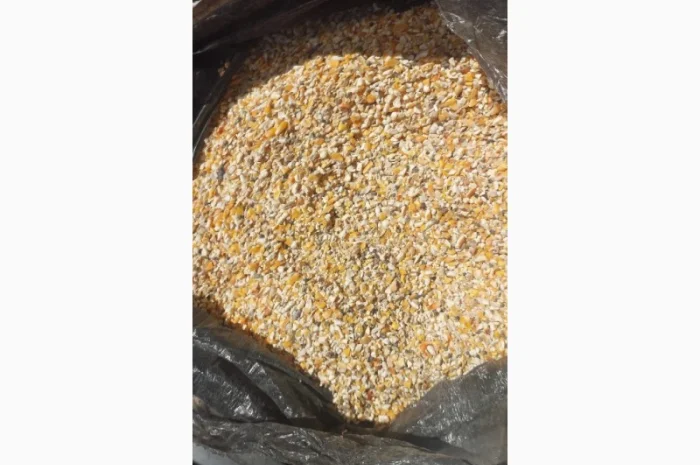 Предприятие покупает побочный продукт или зерноотходы кукурузы- фото № 1