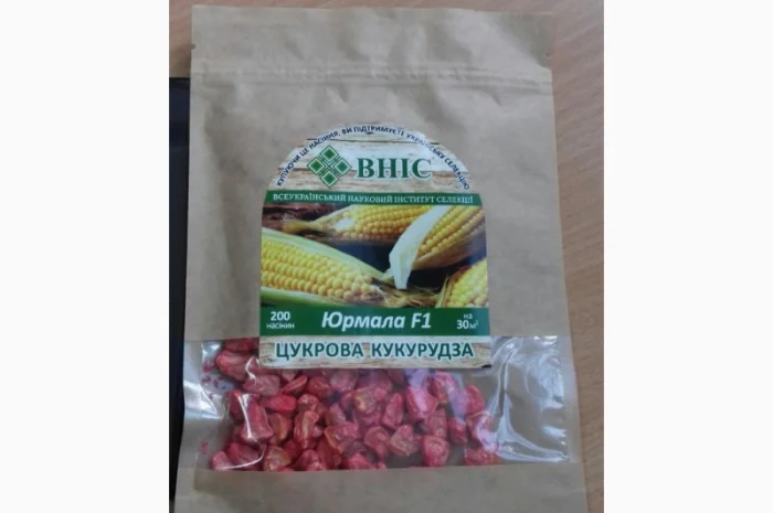 Семена суперсолодкої цукрової кукурудзи на продаж- фото № 2