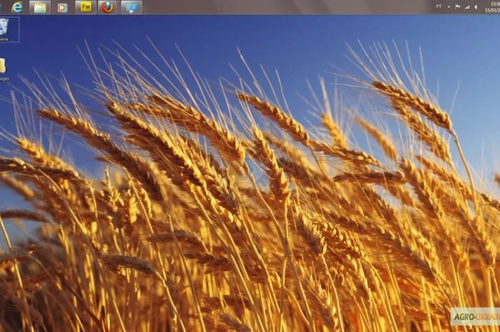 Закупка пшеницы с самовывозом- фото № 1