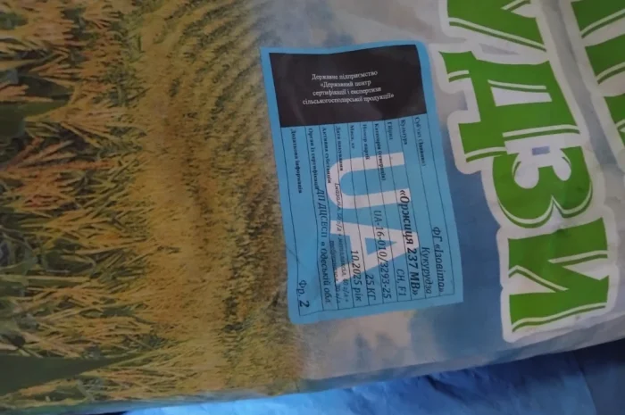 Насіння кукурузи Оржиця 2025 года- фото № 2