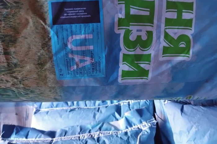 Насіння кукурузи Оржиця 2025 года- фото № 3