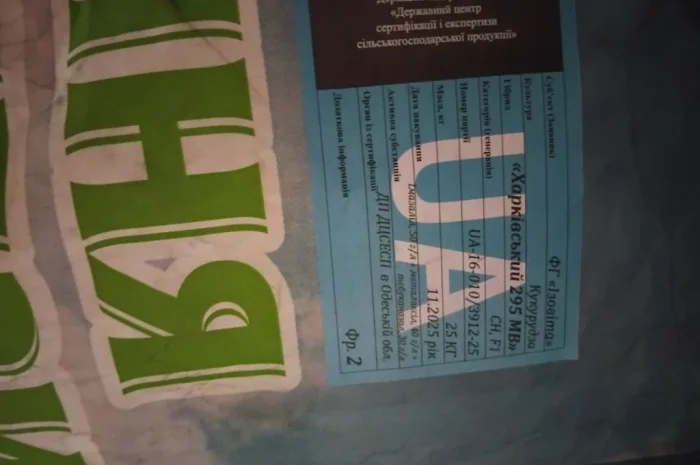 Насіння кукурузи Оржиця 2025 года- фото № 5