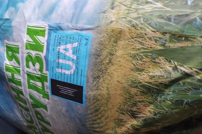 Насіння кукурузи Оржиця 2025 года- фото № 6